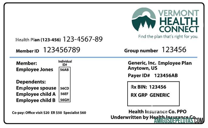 Cartão de seguro saúde de Vermont amostra